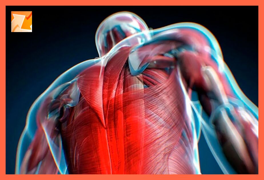 Characteristics of discomfort